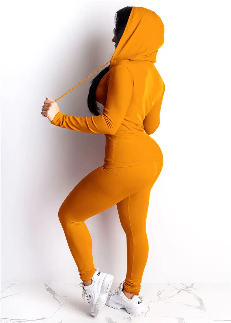 2 piece Sweatshirt And Pants Sportwear Suit Zipper Hoodies Clothes