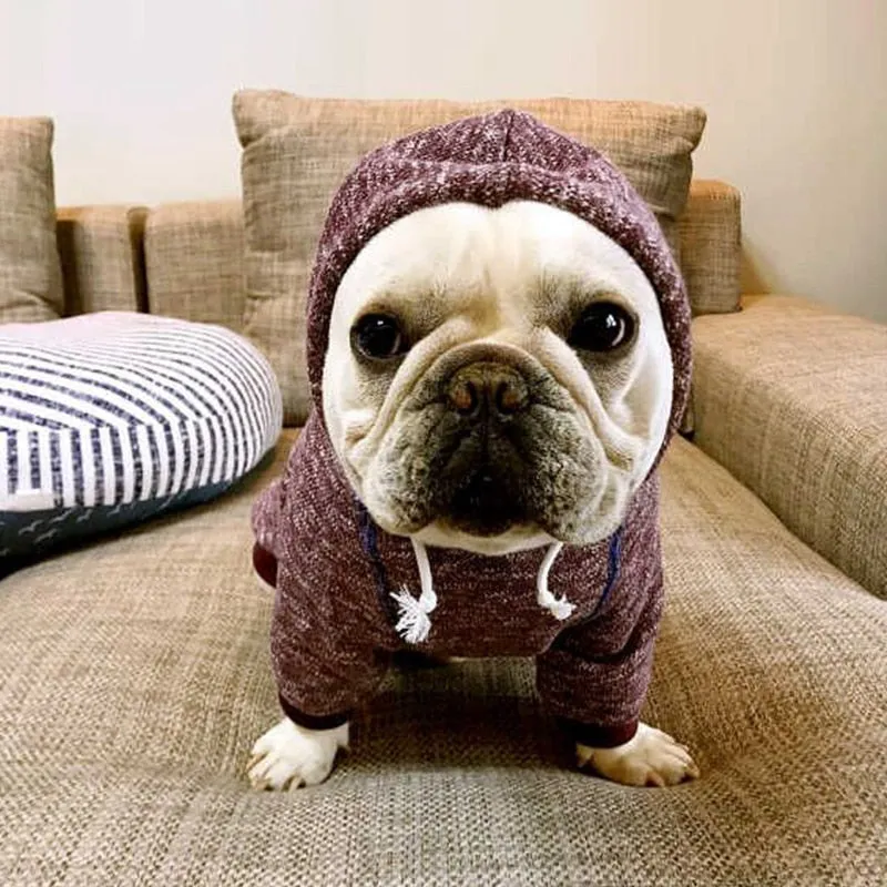 2018 New Dog Hoodies in 2 Colors