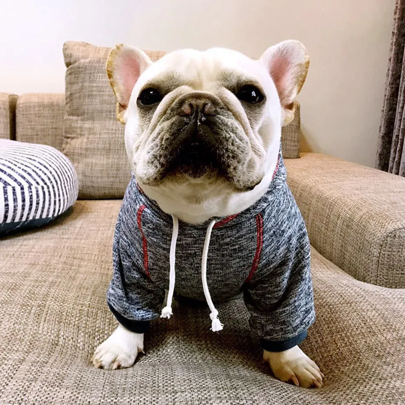 2018 New Dog Hoodies in 2 Colors